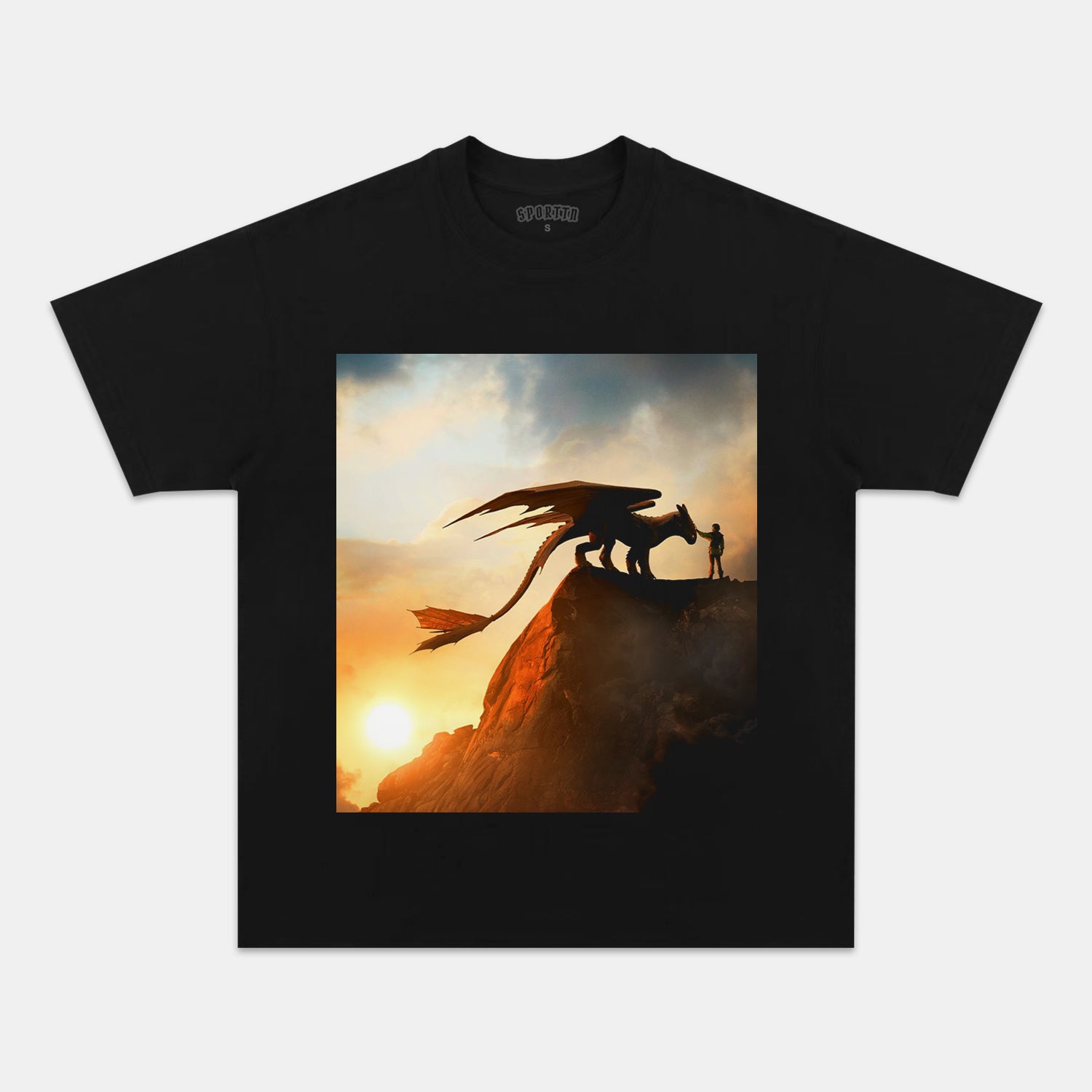 HOW TO TRAIN YOUR DRAGON TEE