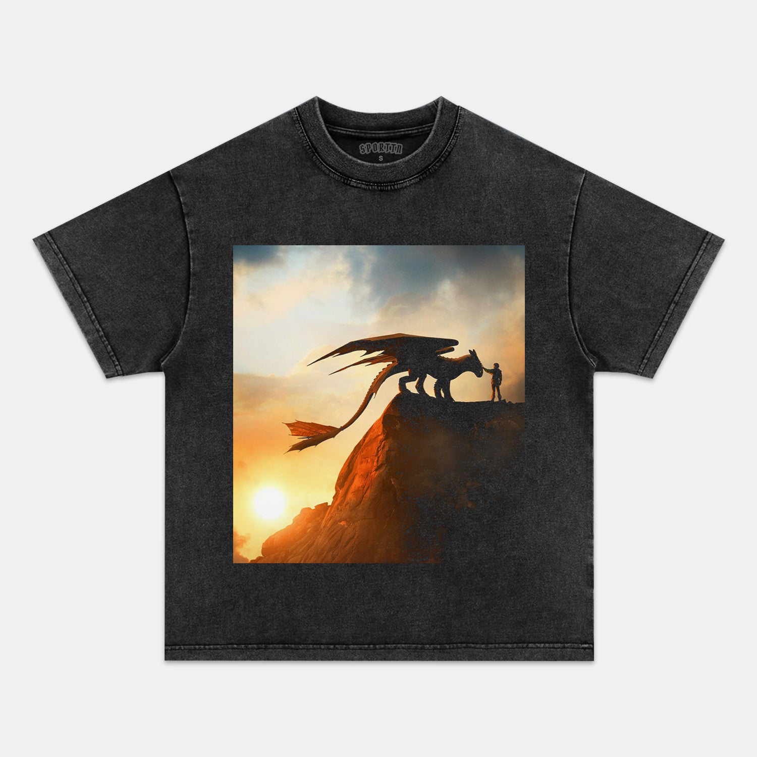 HOW TO TRAIN YOUR DRAGON TEE